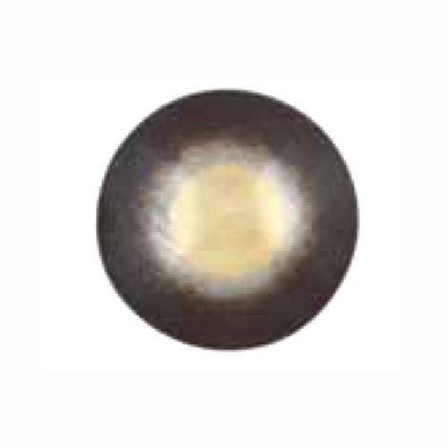 Bronze Renaissance - BR156