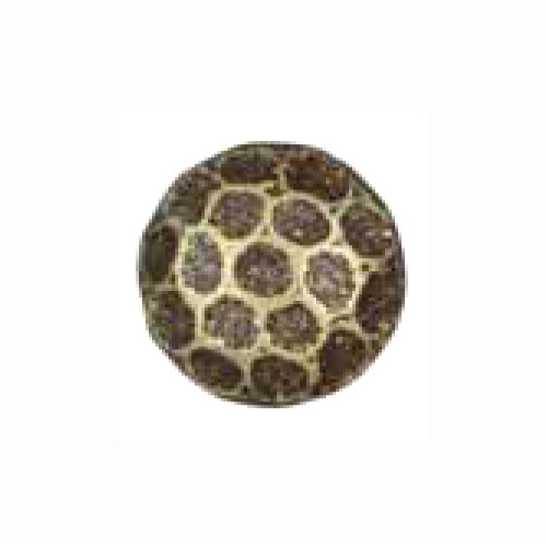 Hammered Oxford - HO79